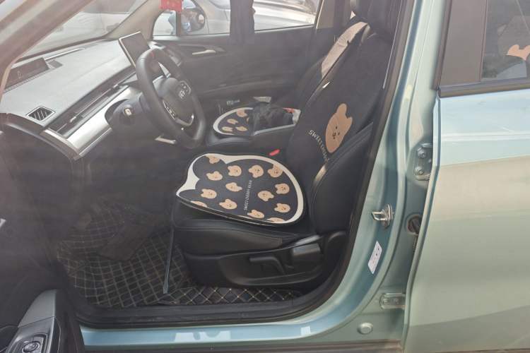 Used NETA V 2021 Long-Range Entertainment Edition