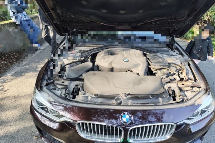 Used BMW 3 Series 2018 320Li Fashion Model
