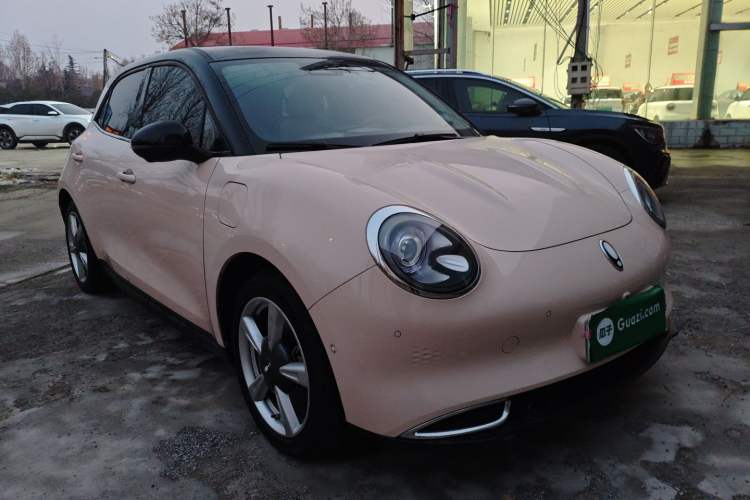 Used ORA Good Cat 2021 400km Standard Range Athena Edition Lithium-Ion Battery