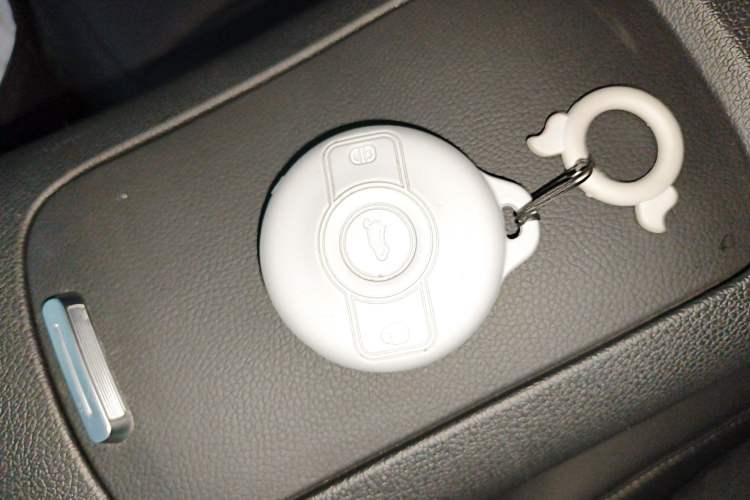 Used  #1 2024 Dynamic Standard Edition