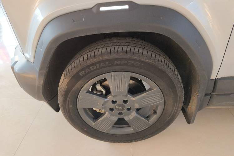 Used  03 2024 501km Two-Wheel Drive Long-Range Version