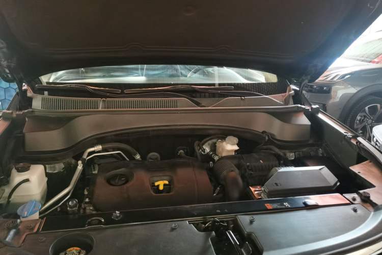 Used Kia Sportage R 2019 2.0L Automatic Smart Luxury Edition
