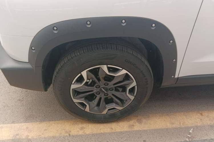 Used Haval DARGO 2024 2.0T DCT Chinese Rural Dog Edition