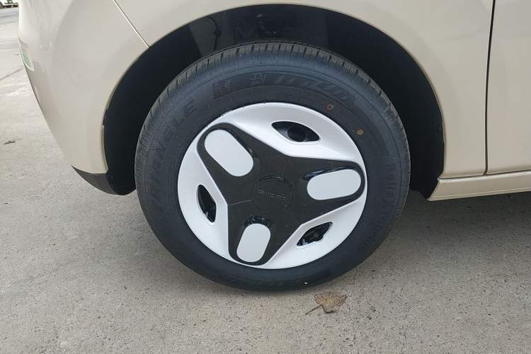 Used  Panda 2025 210 km – Yuanqi Bear
