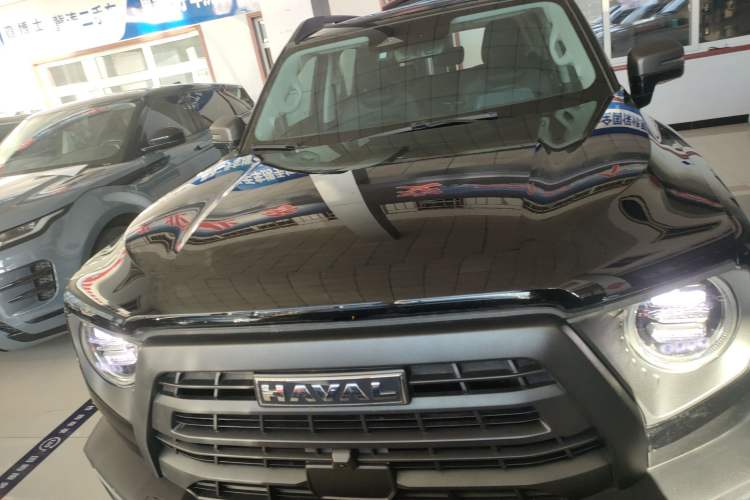 Used Haval DARGO 2024 2.0T DCT Chinese Rural Dog Edition