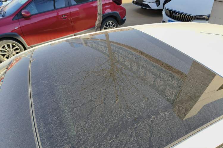 Used Volkswagen Polo 2019 Plus 1.5L Automatic Panoramic Enjoyment Edition