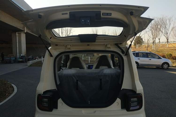 Used  Panda 2025 210 km – Yuanqi Bear
