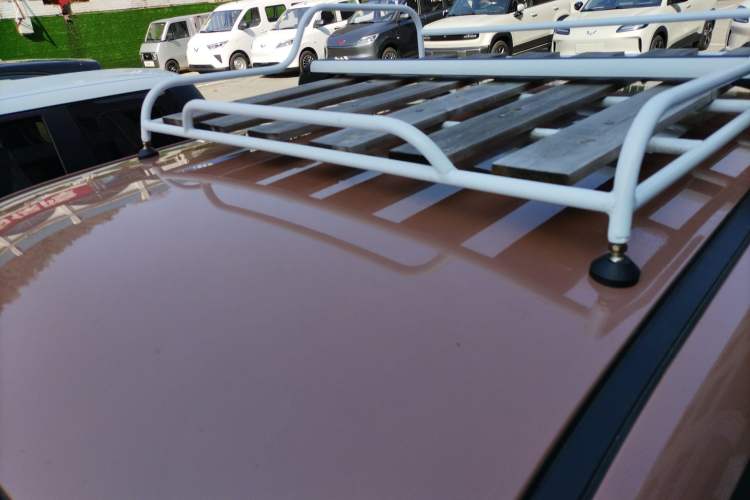 Used  Lumin 2023 301km Honey Dew Edition
