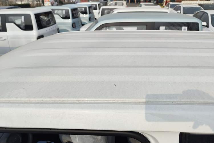 Used  Panda 2024 Panda Mini 200km Endurance Bear
