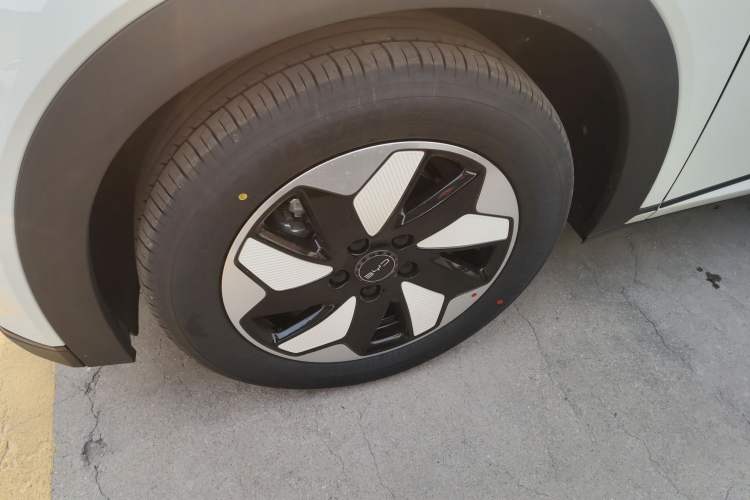 Used BYD Dolphin 2025 420km Free Edition
