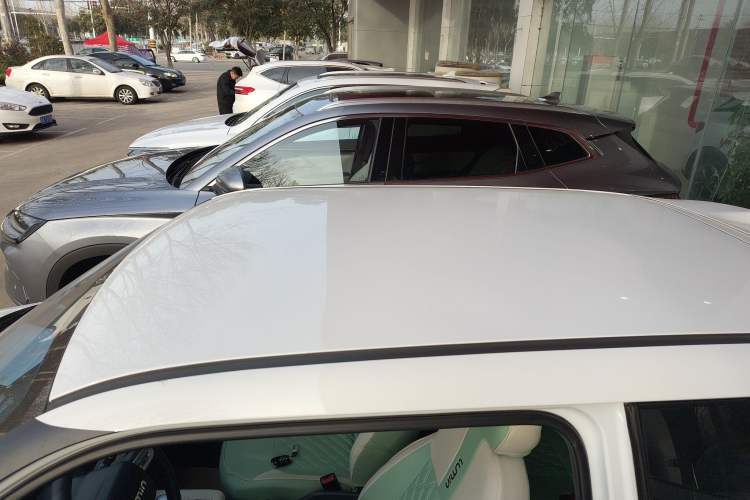 Used  Lumin 2024 130km Qingyue Version
