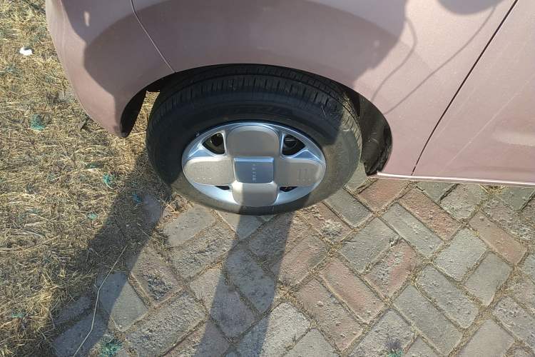 Used  Panda 2024 Panda Mini 200km Endurance Bear