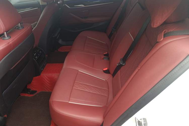 Used BMW 5 Series 2021 Updated Version 525Li Luxury Package
