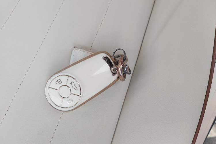 Used ORA Good Cat 2022 Morandi Edition 400km Standard Range Luxury Version Lithium-Ion Battery