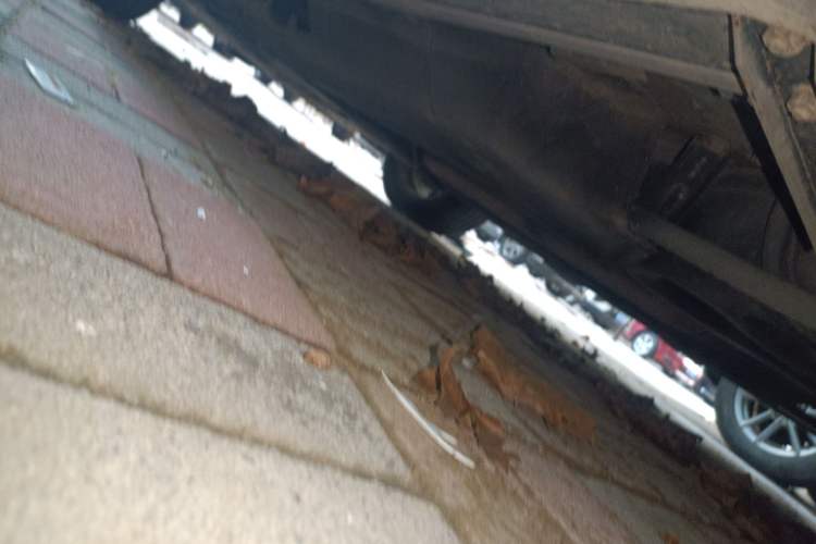 Used Honda Avancier 2017 240TURBO Two-Wheel Drive Elite Edition
