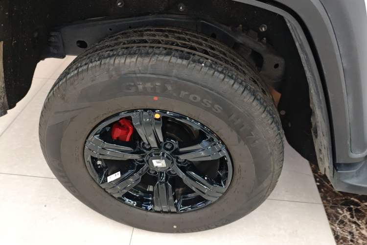 Used Tank 300 2025 2.0T Conqueror
