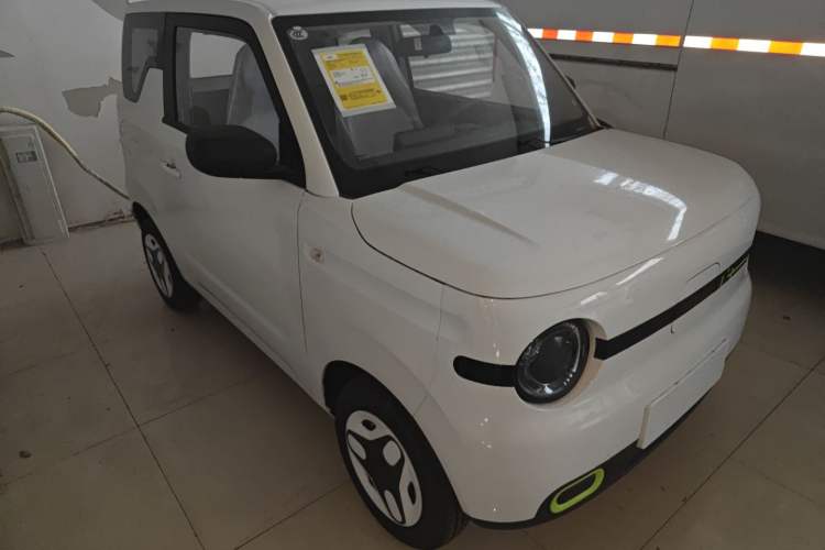 Used  Panda 2025 210 km – Yuanqi Bear
