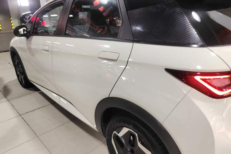 Used BYD Dolphin 2021 405 km Free Version
