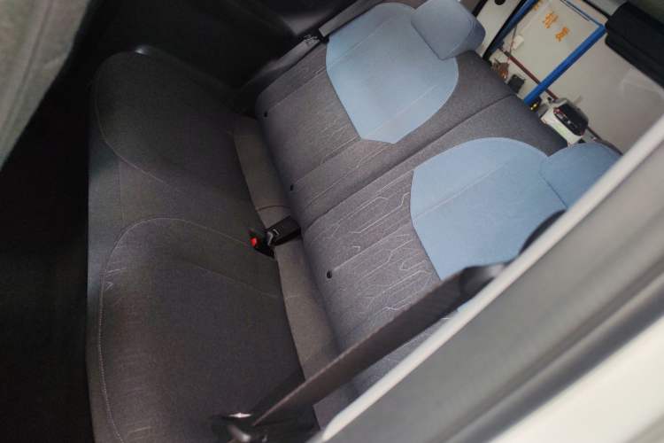 Used  Panda 2023 Panda Mini 200km Endurance Bear
