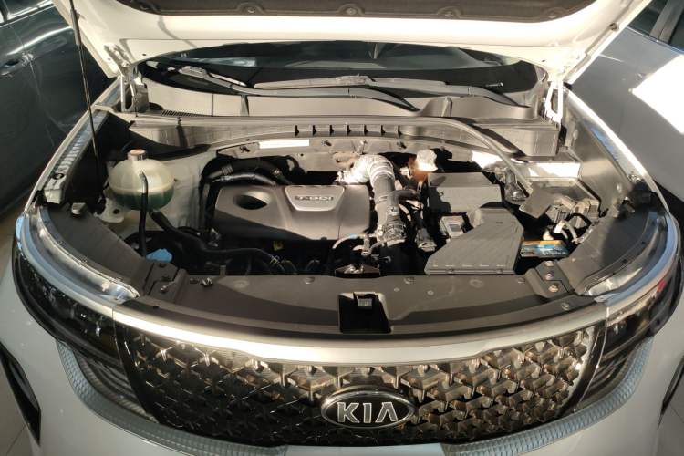 Used Kia KX5 2019 1.6T Automatic Two-Wheel Drive Luxury Edition