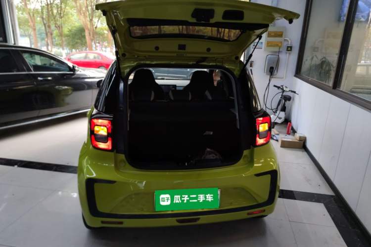 Used SOL E10X 2022 Flower Fairy Design Four-Leaf Clover
