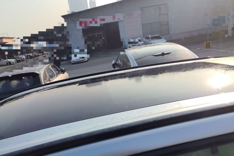 Used  eπ008 2024 636Max All-Electric Version 6 Seats