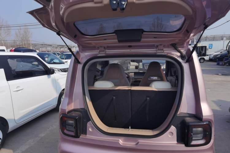 Used  Panda 2024 Panda Mini 200km Endurance Bear