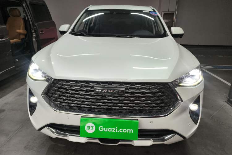 Used Haval F7 2020 2.0T Two-Wheel Drive i-Van

