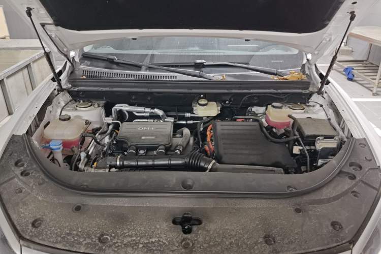 Used BYD Sealion 05 DM-i 2025 DM-i Smart Drive 115KM Flagship Model
