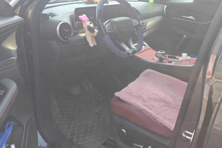 Used FORTHING T5 EVO 2021 1.5TD DCT Starry Edition Heatwave
