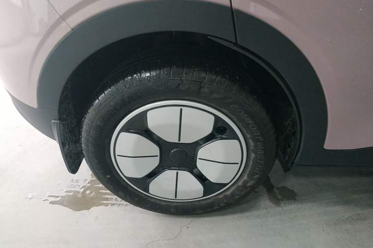 Used  Geome 2025 310km Youth Edition
