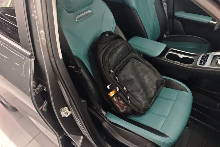 Used  Geome 2025 410 km Free Version
