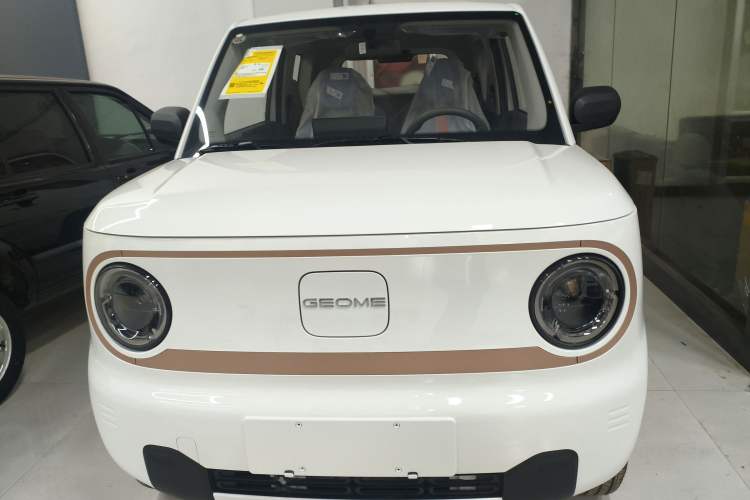 Used  Panda 2024 Panda Mini 200km Endurance Bear