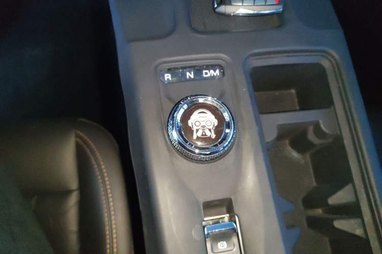 Used Haval DARGO 2024 2.0T DCT Chinese Rural Dog Edition
