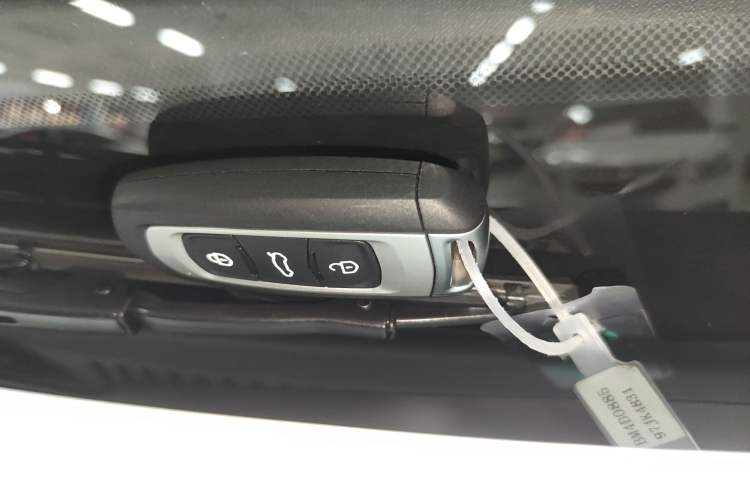 Used  Panda 2024 Panda Mini 200km Endurance Bear
