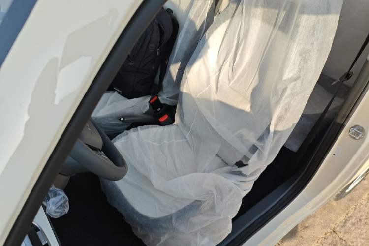 Used  Panda 2025 210 km – Yuanqi Bear
