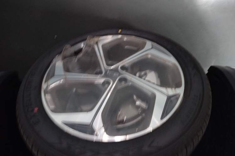 Used Geely Auto Monjaro L 2024 2.0TD DCT EVO Two-Wheel Drive Long-Range Version
