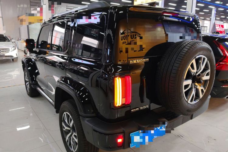 Used Tank 300 2024 2.0T Crosser
