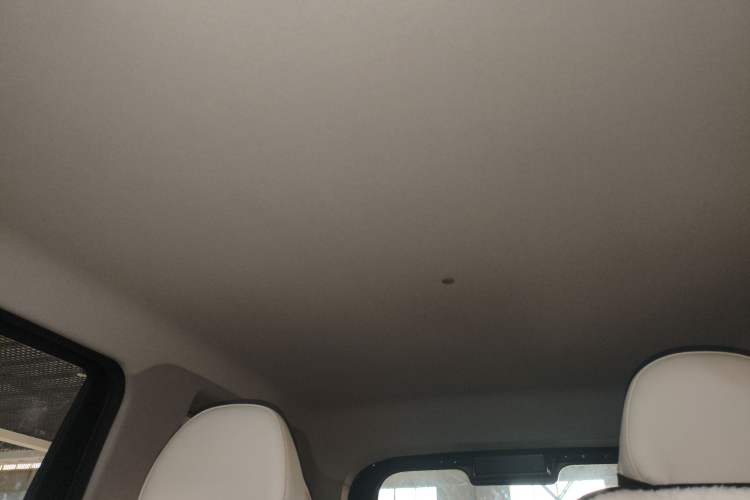 Used  Panda 2024 200km Panda Kart
