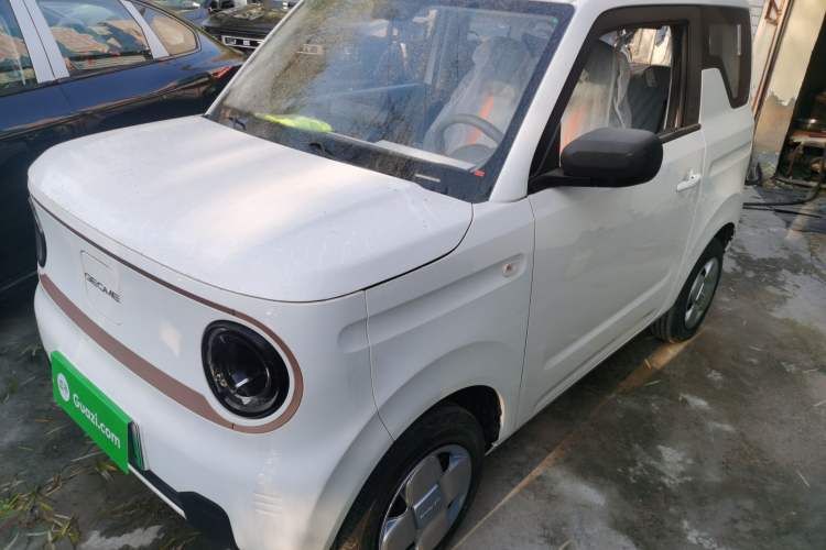 Used  Panda 2024 Panda Mini 200km Endurance Bear
