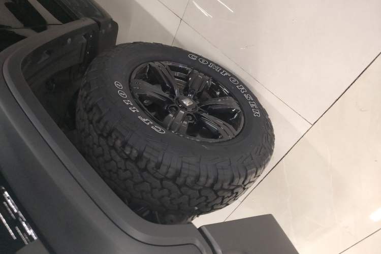 Used Tank 300 2024 2.0T Conqueror
