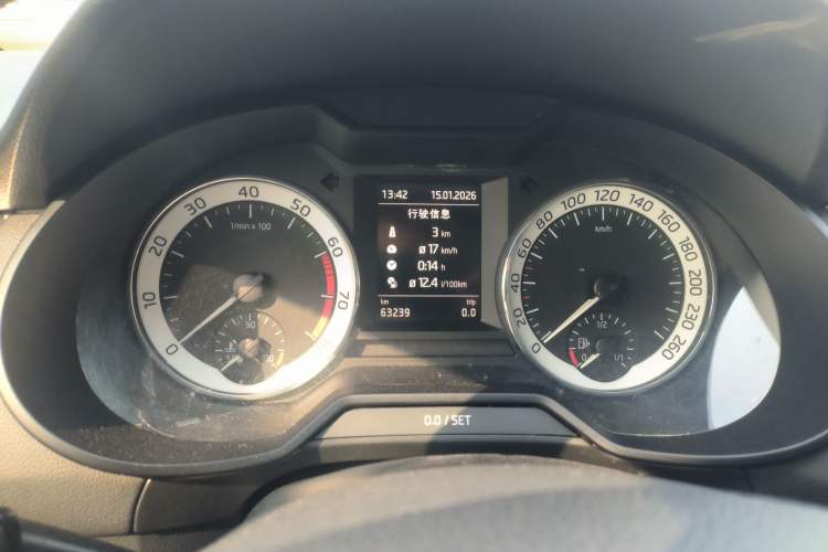 Used Skoda Octavia 2019 TSI280 DSG Luxury Edition Station Wagon China VI Standard
