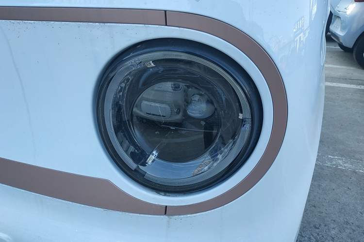 Used  Panda 2024 Panda Mini 200km Endurance Bear
