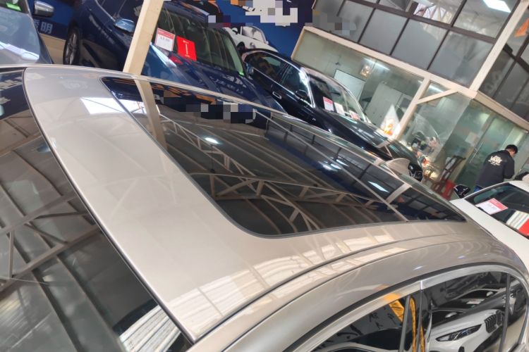 Used BMW 5 Series 2020 530Li Leading Edition Luxury Package