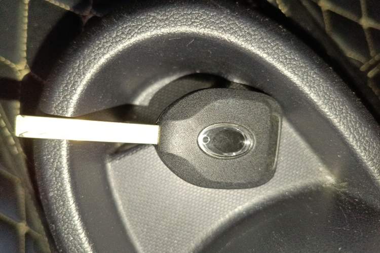 Used ORA Black Cat 2019 351 km Family Edition
