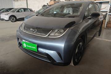 Used BYD Dolphin 2025 420km Free Edition