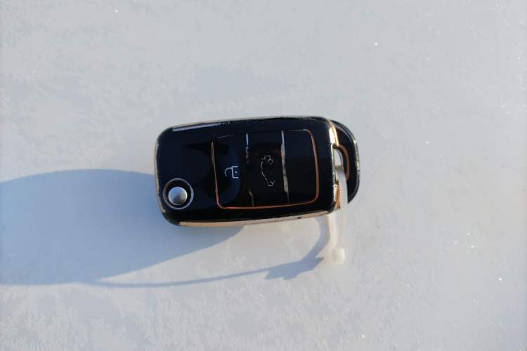 Used  Lumin 2023 205km Xiangqin Version