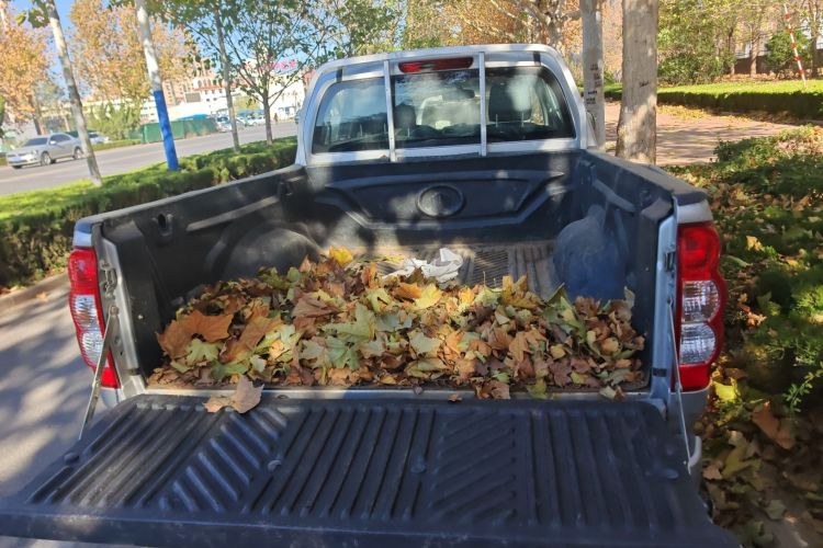 Used Great Wall Wingle 5 2021 2.0T Diesel Two-Wheel Drive Elite Version Big Double Cab China VI Standard GW4D20M