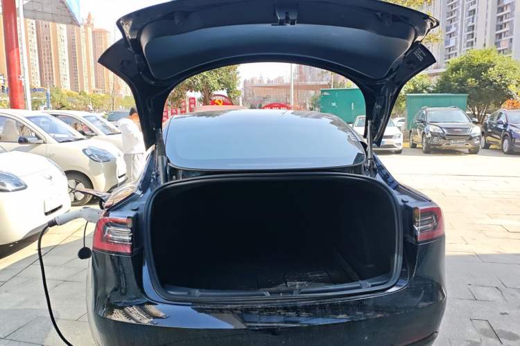 Used Tesla Model 3 2021 Standard Range Rear-Wheel Drive Upgraded Version 3D6