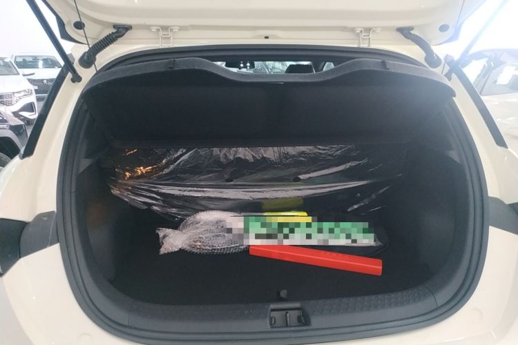 Used BYD Dolphin 2025 420km Free Edition
